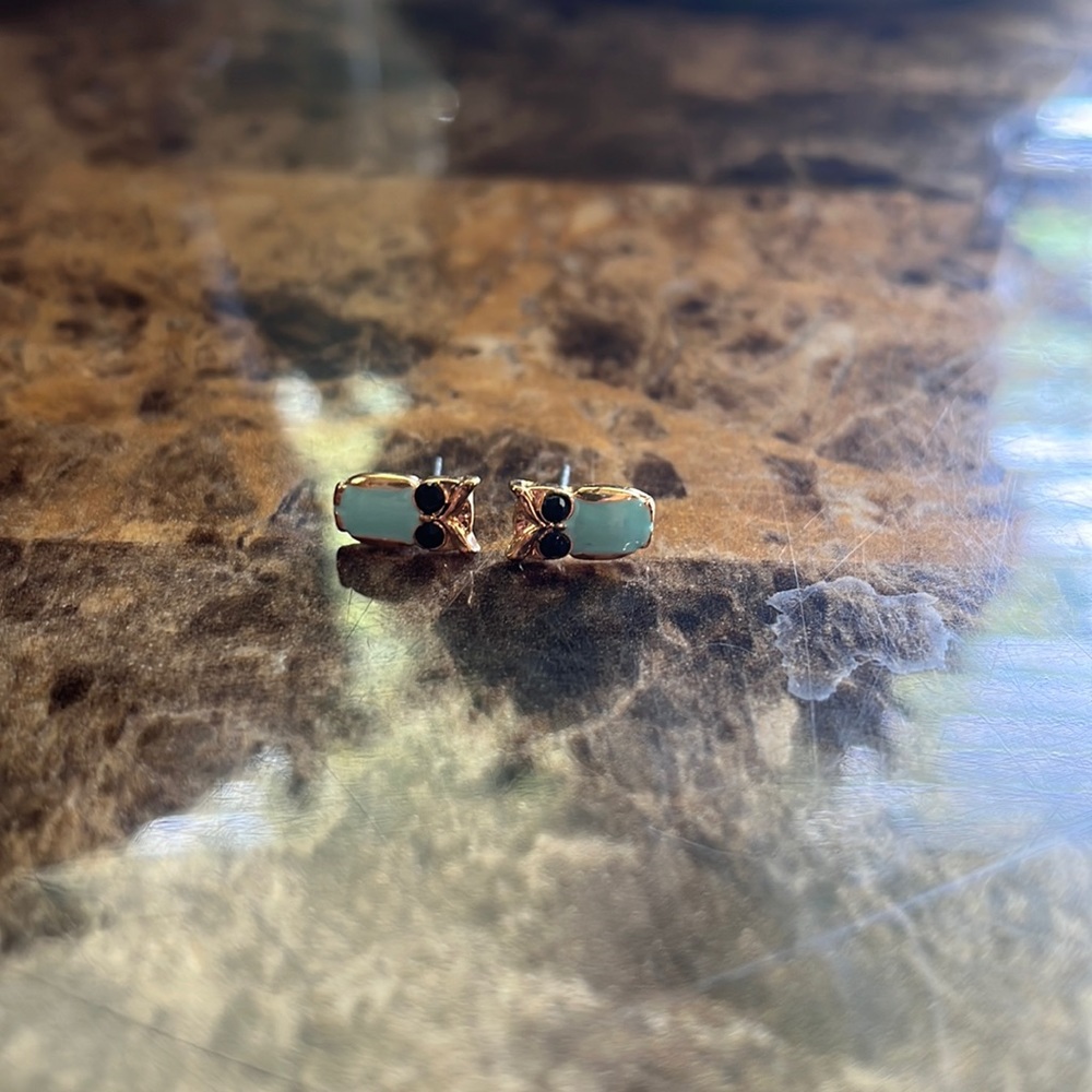 Owl Earrings
